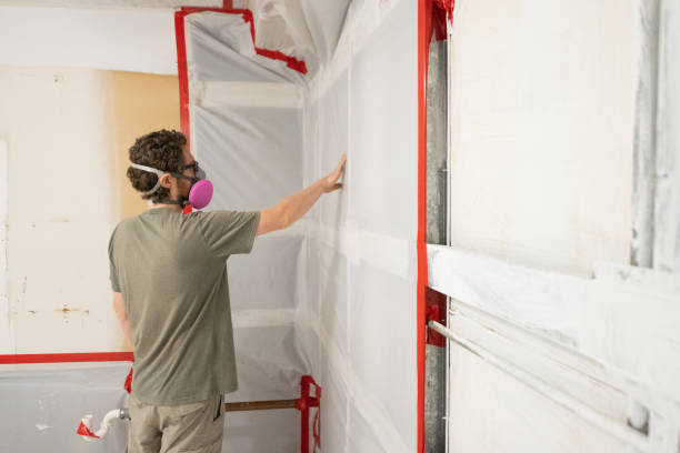 Best Mold-Related Health Consultation  in Temelec, CA