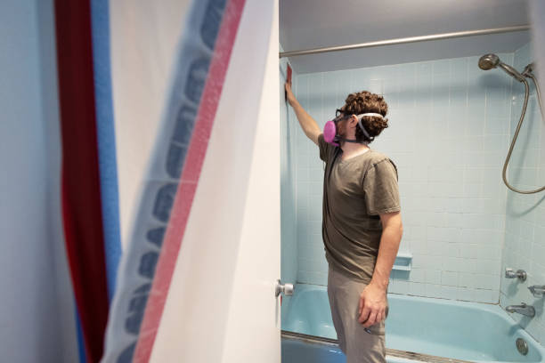 Best Mold Prevention Services  in Temelec, CA