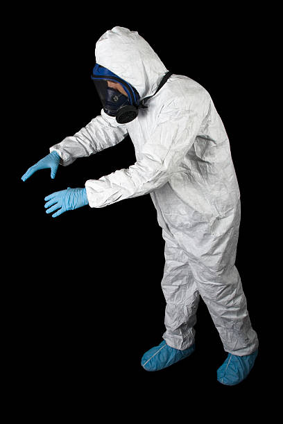 Best Black Mold Removal  in Temelec, CA